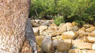 在丛林中干涸的河流中，把大石头和巨石封闭起来。 干旱季节有大岩石的干河床。 干燥